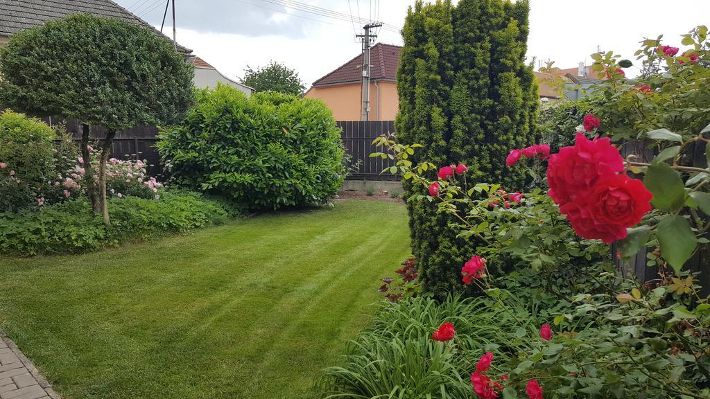 Villa Rozarka Stare Mesto  Exteriör bild